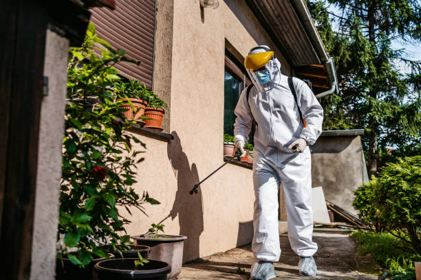 Best Residential Pest Control  in Lookout Mountain, TN