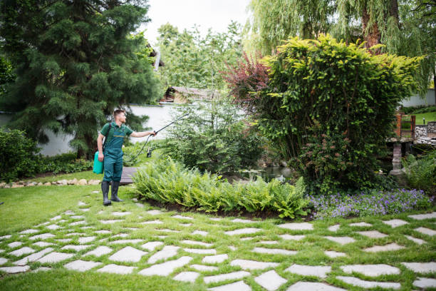 Best Pest Inspection Near Me  in Lookout Mountain, TN
