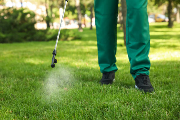 Best Insect Control  in Lookout Mountain, TN