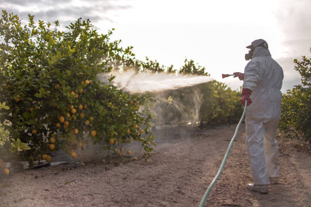 Best Best Pest Control Companies  in Lookout Mountain, TN