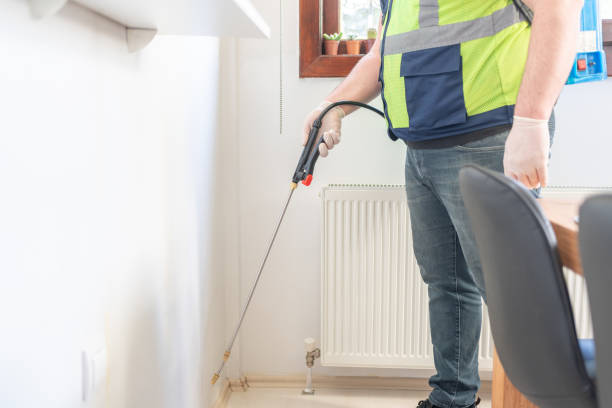Best Affordable Pest Control Services  in Lookout Mountain, TN