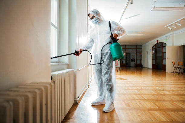 Trusted Lookout Mountain, TN Pest Control Experts